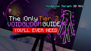 The Only Tier 2 Enderman Slayer Guide YOULL EVER NEED Hypixel Skyblock [upl. by Reitman751]