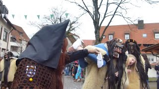 Fasnet clips [upl. by Lesoj]