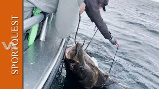 Fishing For Huge Halibut at Havoysund Northern Norway [upl. by Weissmann]