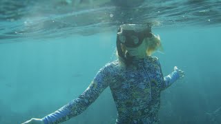 Exploring the Ningaloo Reef with Brinkley Davies [upl. by Slade]