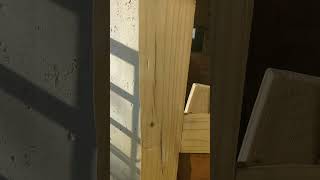 Cant believe it worked Pine unbent with hot water diy pinewood shorts diywoodworking water [upl. by Lloyd]