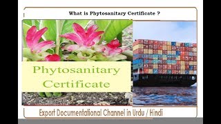 S  149 What is Phytosanitary Certificate in Urdu  Hindi [upl. by Leanora13]