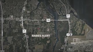 Rabies alert issued in Wesconnett area of Jacksonville [upl. by Megdal]