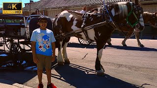 Charleston South Carolina Iconic Horse Carriage Ride amp Historic City Tour [upl. by Akissej]