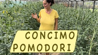 POMODORO  la concimazione ideale [upl. by Kristofor]