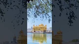 Dhan Shri Guru Ramdas Sahib Ji darbarsahib hukamnamasahib travel youtubeshorts trending [upl. by Eeralav99]