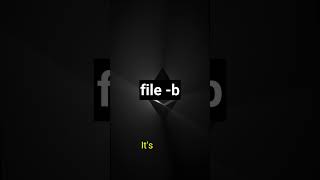 file b [upl. by Pelagias]