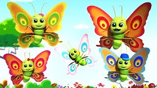 farfalle dita Famiglia  filastrocche in italiano  canzone per bambini  Butterfly Finger Family [upl. by Ingrim]