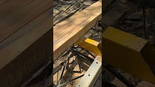 Loblolly Pine makes 2x4s for interior shed walls sawmill pine wood [upl. by Alwin716]