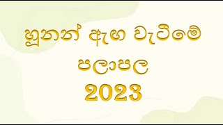 හූනන් ඇඟ වැටීමේ පලාපල 2023 [upl. by Alor]