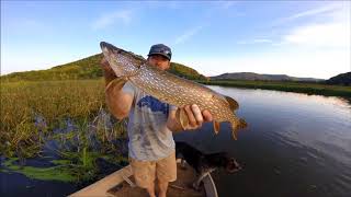 Bass Fishing Trempealeau River Part 1  Angler X [upl. by Okire]