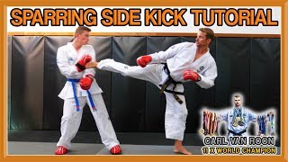 The Perfect Side Kick for Taekwondo Sparring  Van Roon Tutorial [upl. by Alodie]