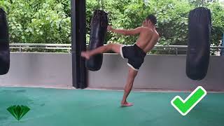 Muay Thai  How to throw a Kick [upl. by Aimik]