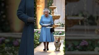 quot¿Por qué el Welsh Corgi es el Perro Real de la Reina Isabelquot welshcorgi [upl. by Shir]