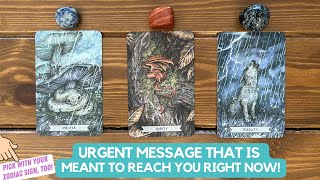 Urgent Message That is Meant to Reach You Right Now  Timeless Reading [upl. by Naesar]