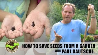 How to Save Seeds from a Vegetable Garden  Back to Eden Gardening [upl. by Metabel650]