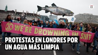 Protestas en Londres por un agua más limpia  El Espectador [upl. by Aidroc429]