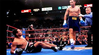 Oscar De La Hoya  Top Knockouts HD [upl. by Wojak137]