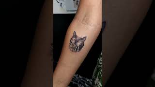 pets tattoo [upl. by Aleris]