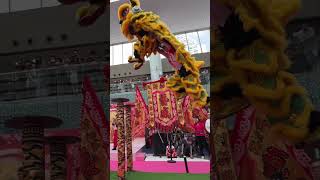 Lion Dance  Yi Wei Athletic Association [upl. by Anam361]