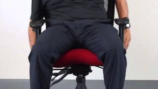 Adjust Your Ergonomic Mesh Back Office Chair [upl. by Lap]