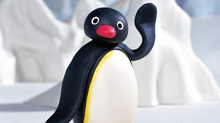 Noot Noot Penguin l 1 Hour Limited Edition [upl. by Constant]