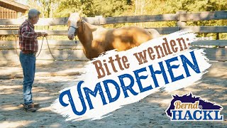 Vom Boden aus umdrehen  Bernd Hackl erklärt 🐴 [upl. by Rovelli]