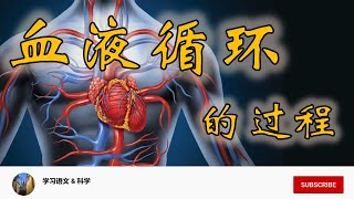 KSSR SN 科学 5年级 单元2：血液循环的过程 Human Blood Circulatory Pathway [upl. by Attebasile]