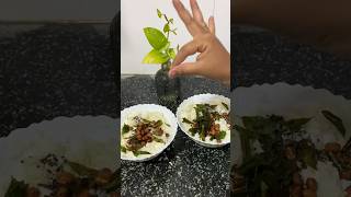 Curd Rice Recipe 🍚😊curdrice shorts odiavlogger odiashorts viral yt ytshort [upl. by Pineda]