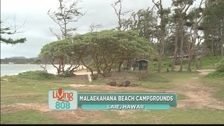 Kama’aina Grinds at Malaekahana Beach Campground [upl. by Lesak309]