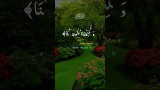 abstechbd اكسبلور islamicfigure quran duet besttilawatintheworld islamicprophet travel [upl. by Trudie853]