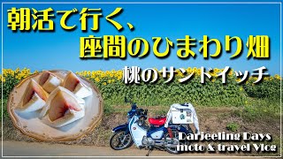 スーパーカブC125 ｜朝活で行く、座間のひまわり畑、桃のサンドイッチも堪能！ ｜【モトブログ＃73】 [upl. by Ammadas]