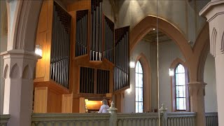 Joy  Freude  Tutti Gioia  Markus Süß  Orgel amp Arr [upl. by Houlberg]