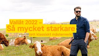 Så mycket starkare  Sverigedemokraternas vallåt 2022  Gör Sverige bra igen [upl. by Aicen413]