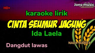 CINTA SEUMUR JAGUNG  IDA LAELA  KARAOKE DANGDUT  NADA WANITA [upl. by Alyahs]