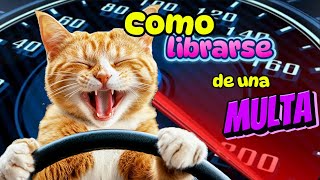 Cómo librarse de una MULTA  Chistes de GATOS 😹😹😹 [upl. by Nosnaj643]