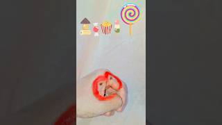 Handy eating Snacks candy 🍬 food 😋 lollipop 🍭 food lollipop viral asmr shotrs [upl. by Aita]