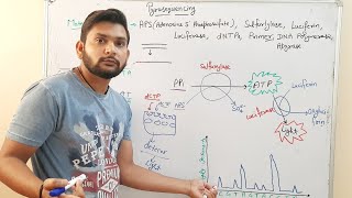 PyrosequencingDNA Sequencingin Hindi [upl. by Kumagai]