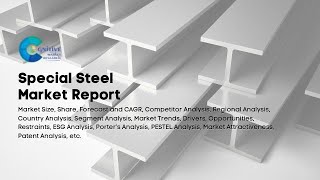 Special Steel Market Report 2024  Forecast Market Size amp Growth [upl. by Ycart]