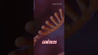 Secretos ALUCINANTES del origen de los microARN🧬 [upl. by Edi207]