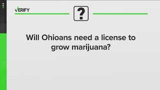 VERIFY Do you need a license to grow marijuana in Ohio [upl. by Rolecnahc]