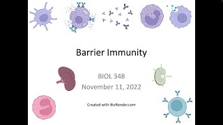 Immunology Fall 2022 Lecture 29 Mucosal Immunity [upl. by Sidon750]