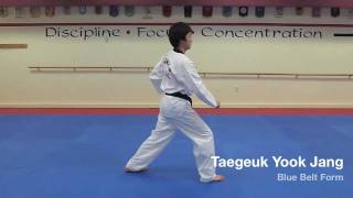 Taegeuk Yook Jang  Blue Belt Form [upl. by Neuberger]