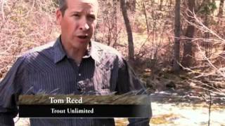 Wyoming Wildlife TV 4Cutthroat Trout [upl. by Deloris371]