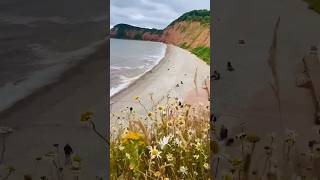 Jurassic Coast Beach View from Salcombe Hill Cliff Sidmouth England devon shorts cliff uk [upl. by Tubb]