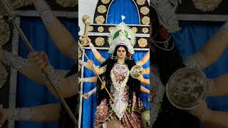 Ma Durga 🤍🤍🤍🤍 song love trending youtubeshorts souravjoshivlogs7028 TrakinTech cat videos [upl. by Lertnahs]