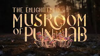 A Mystical Metamorphosis  The Enlightened Mushroom of Punjab [upl. by Esaj]