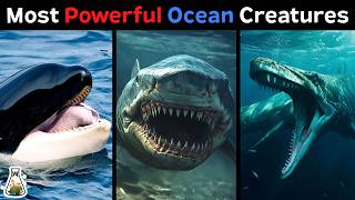 10 Strongest Ocean Creatures That Ever Lived [upl. by Ramunni]