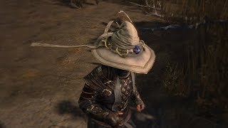 Path of Exile Synthesis Brimmed Hat [upl. by Leirraj893]