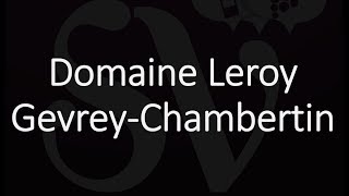 Best GevreyChambertin Wines Famous Wineries amp Producers [upl. by Prudi557]